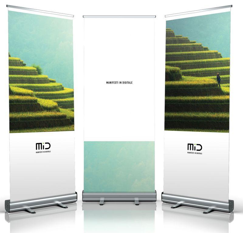 Stampa Roll-up